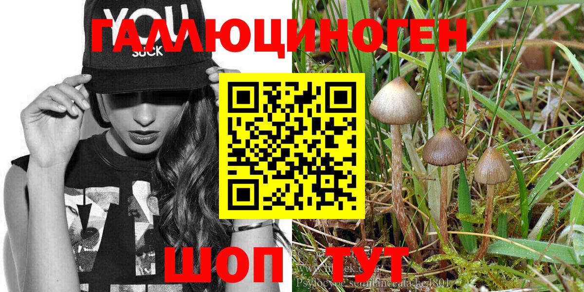 Галлюциногенные грибы MAGIC MUSHROOMS  Вход с VPN  Камышин 