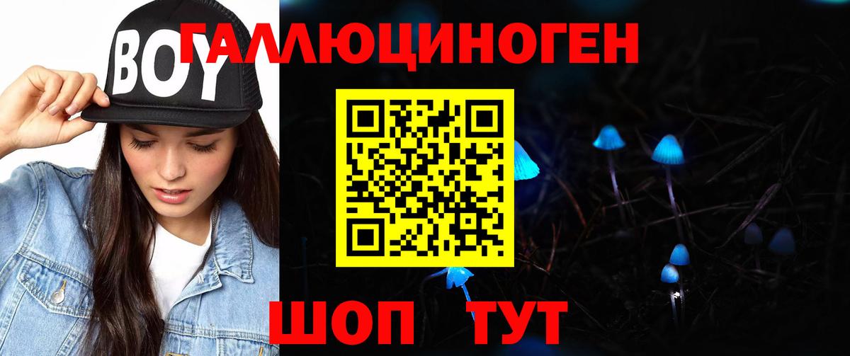 Псилоцибиновые грибы ЛСД Камышин