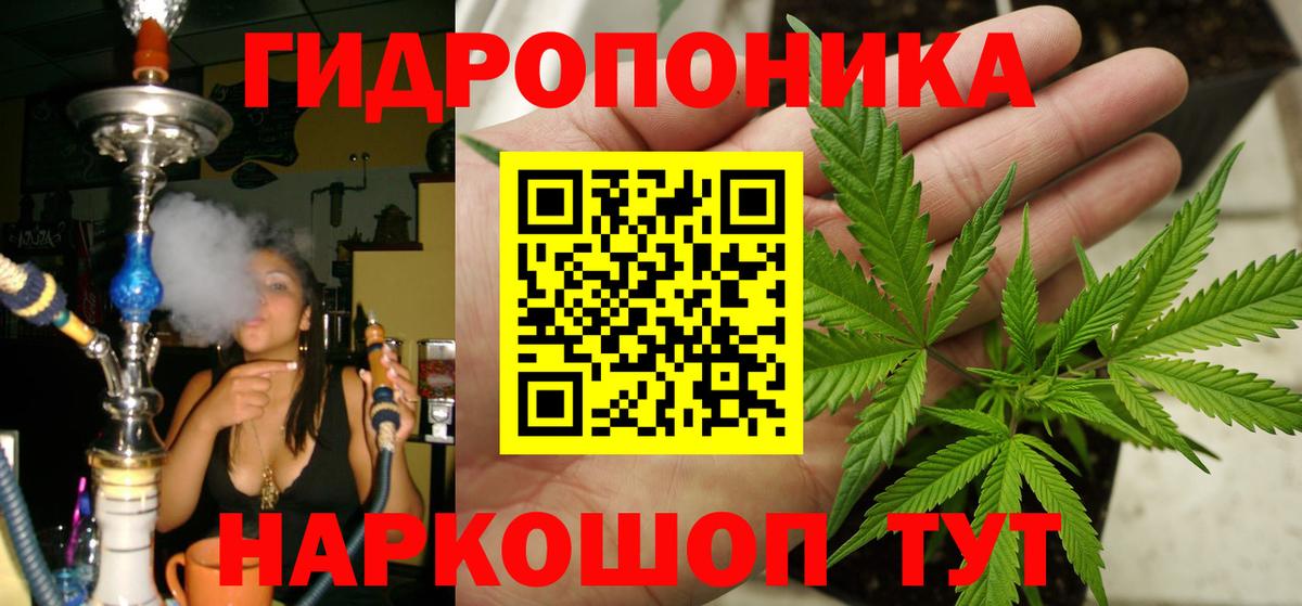 Бошки марихуана MAZAR  Канабис индика  МАРИХУАНА ГИДРОПОН  Вход с VPN  Камышин 